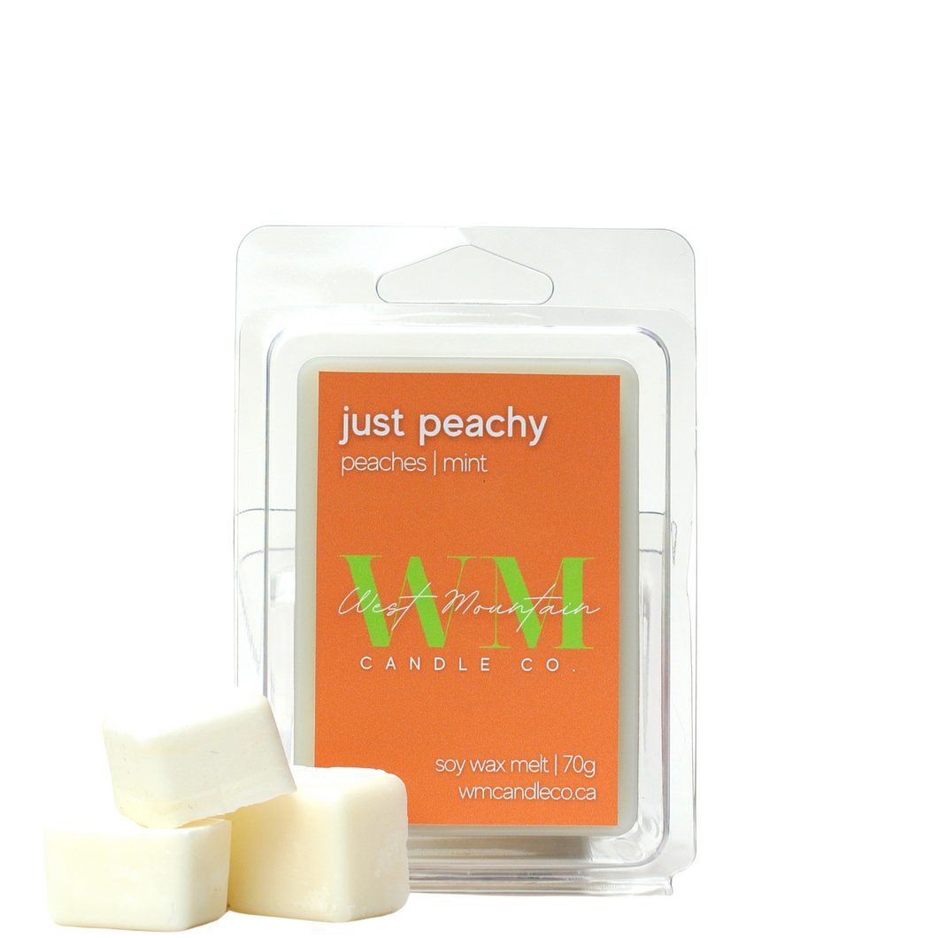 JUST PEACHY WAX MELT