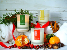 Load image into Gallery viewer, Winter Wood Wick Collection &#39;Bundle &amp; Save 20%&#39;
