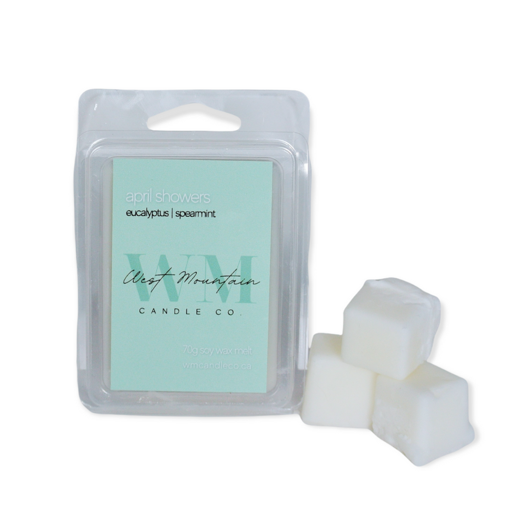 APRIL SHOWERS WAX MELT